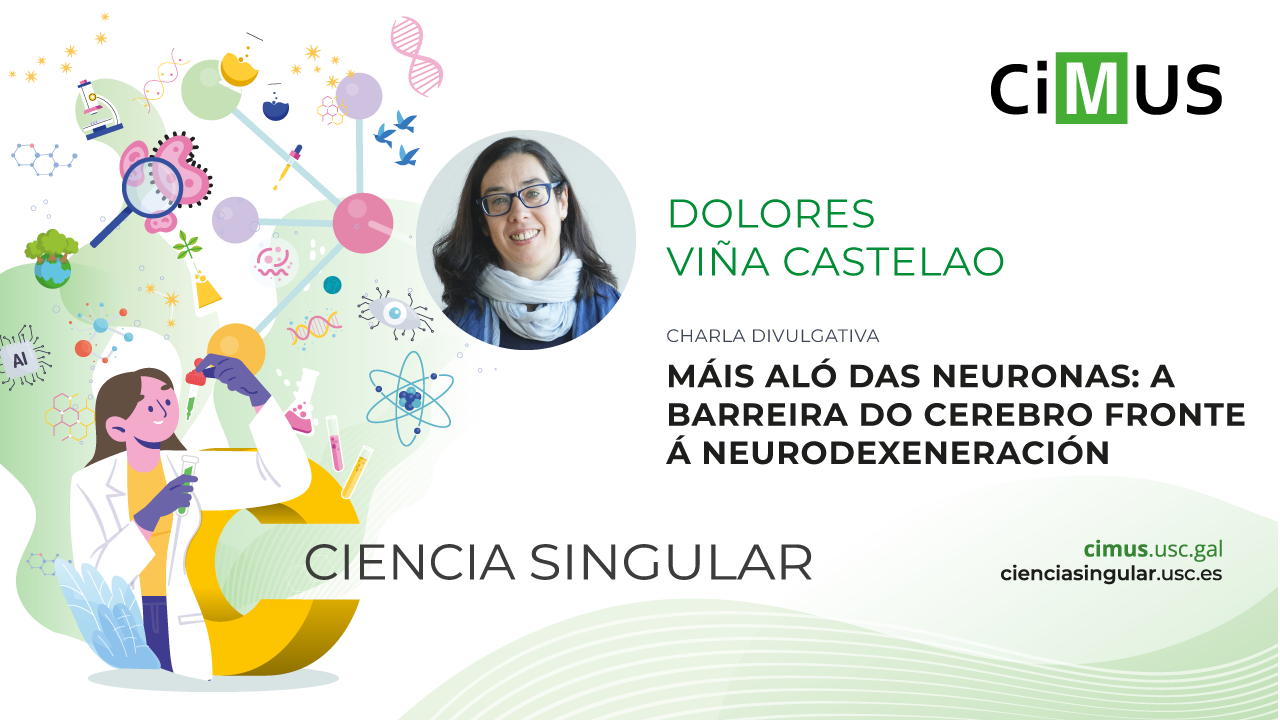 Máis aló das neuronas: a barreira do cerebro fronte á neurodexeneración