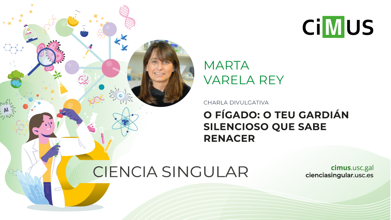 O fígado: o teu gardián silencioso que sabe renacer